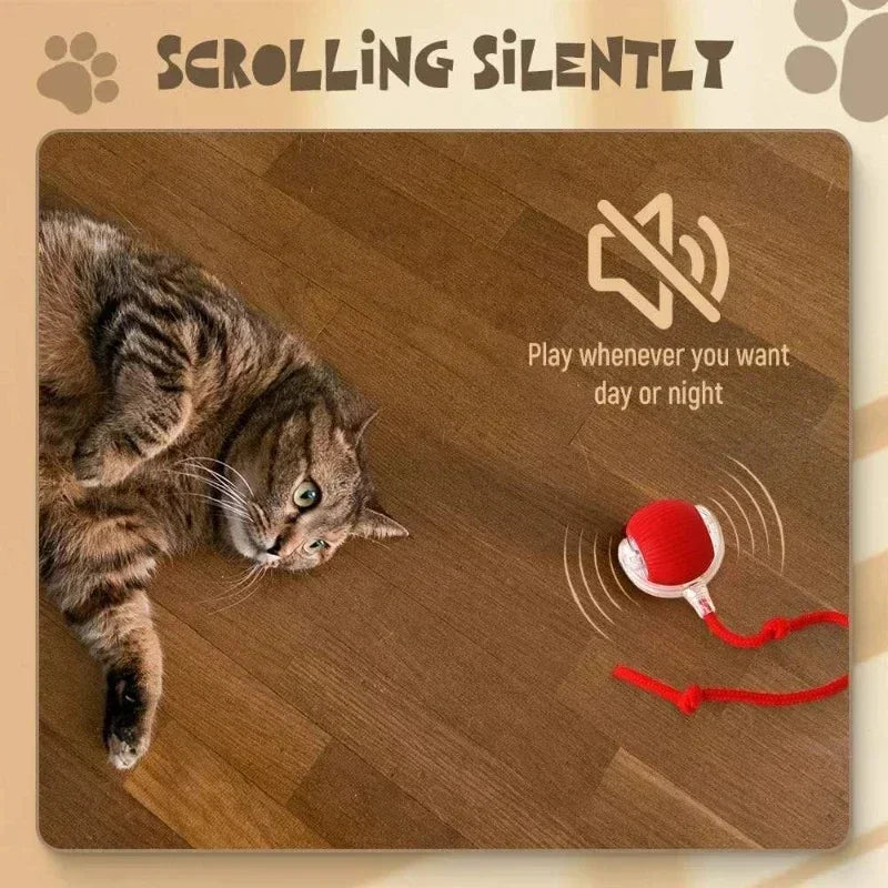 Zoomie Ball
